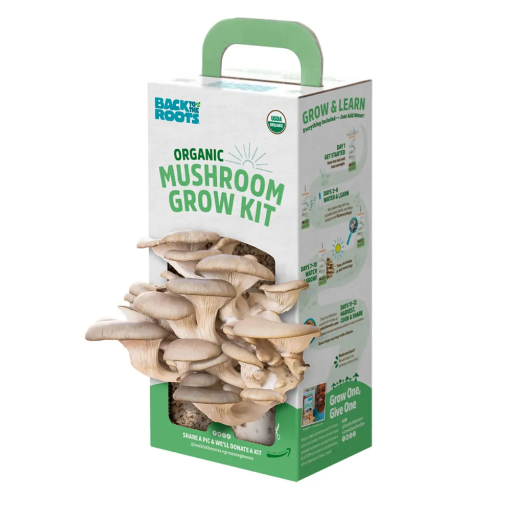 custom mushroom boxes wholesale packaging