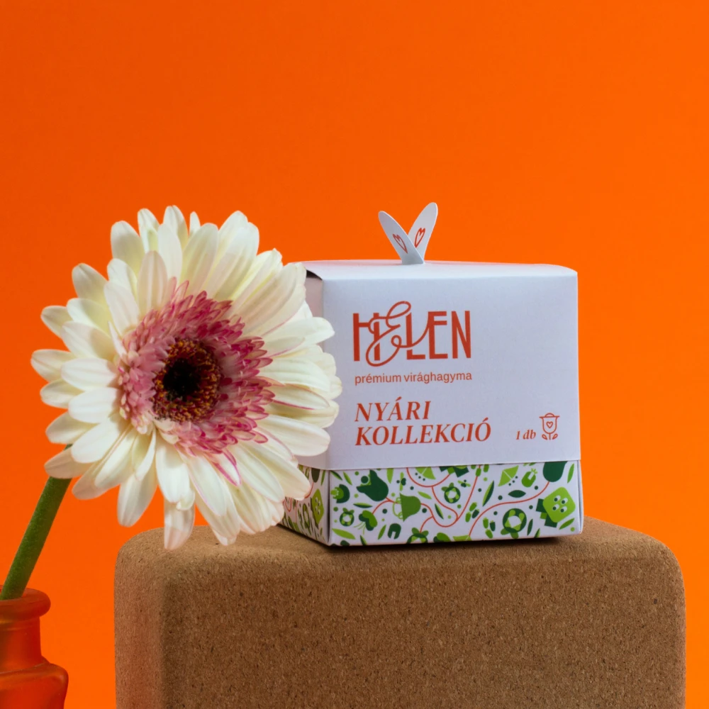 gable gift boxes for sale