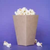 large and small popcorn boxes manufacturers